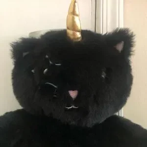 Betsey Johnson | Bags | Betsey Johnson Black Unicorn Kitty 